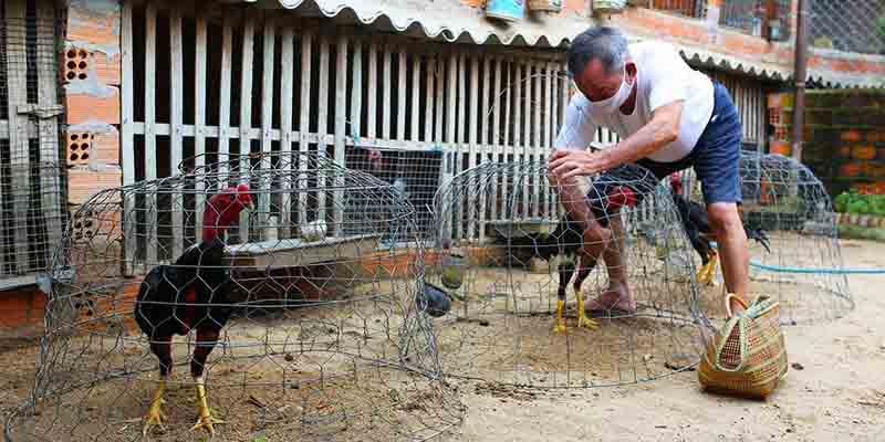 Chế độ chăm sóc hiệu quả khi tham gia tại webgame