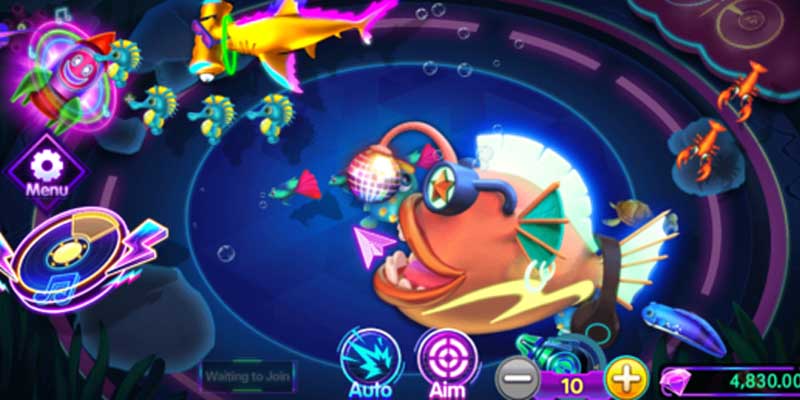 Tìm hiểu đôi nét về săn hũ đại dương là gì?